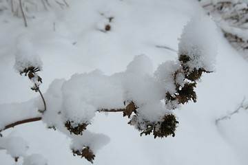 Obraz premium Beautiful winter season