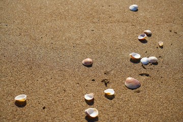 Fototapeta na wymiar Beach detail background