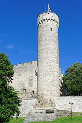 Langer Hermann auf dem Domberg von Tallinn, Estland