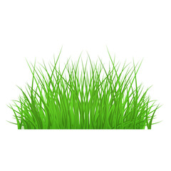 Vector green grass bush, border for summer landscape design. Natural decoration element for parks, gardens or rural fields scenery. Lawn or plants object. Isolated illustration
