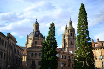 Fototapeta na wymiar Beautiful old city of Salamanca, Spain, Cathedral and Plaza Mayor and Universidad University, Spanish architecture