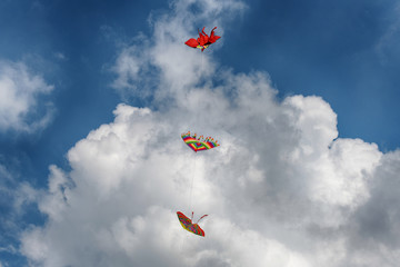 Fototapeta na wymiar Kites flying in the sky