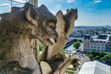 Fototapeta na wymiar Notre-dame gargoyles, city in background