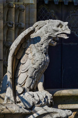 Notre dame gargoyle with wings