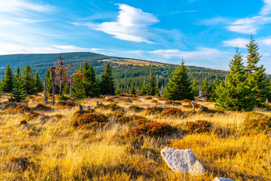 Green forest landscape with Velky Sisak and Vysoke Kolo Mountain, Giant Mountains, Krkonose, Czech Republic.