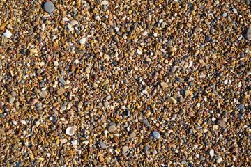Beach detail background