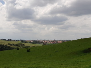 Fototapeta premium great pasture with natural vegetation, in the background the city of Cerquilho-SP on a cloudy day.
