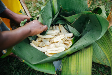 woman preparing bananas for cooking in Uganda, Africa