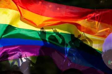 silhouette of a parade of gays and lesbians with a rainbow flag - symbol of love and tolerance