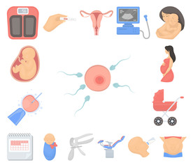 Woman and pregnancy cartoon icons in set collection for design. Gynecology and equipment vector symbol stock web illustration.
