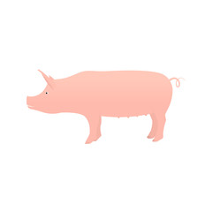Pig flat isolated on white background