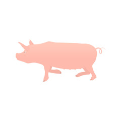 Pig flat isolated on white background