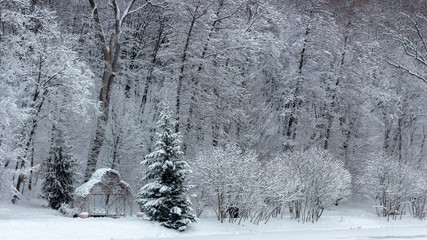 Fototapeta premium Snow-covered gazebo with a metal bridge in the middle of a lake in the park
