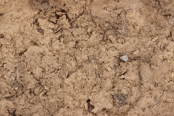 Fototapeta na wymiar Mud ground earth soil trace tracks marks markings wet brown surface texture
