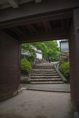 岡山城の風景