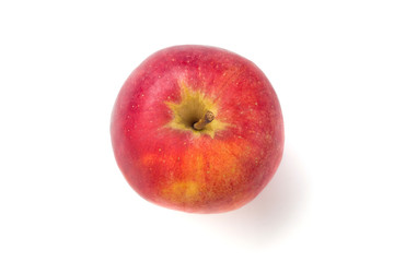 Fresh red apple isolated on white. With clipping path