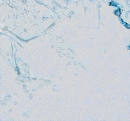 Abstract watercolor background. Hand drawn scratched grunge unusual texture. Custom design pattern. Digital painting oil artwork.