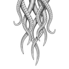 Illustration of hanging tentacles © iadaart