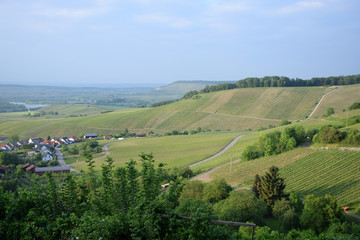Obraz premium Weinberge bei Löwenstein