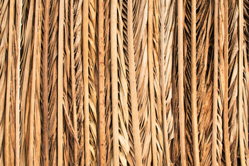 cane background, cane or straw texture on a wall, cane fence