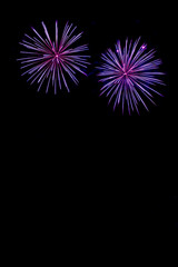 Purple fireworks with copy space