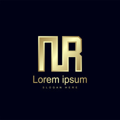 Initial Letter NR Logo Template Vector Design
