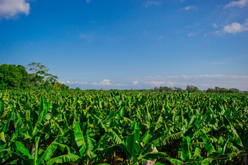 Paisajes Puerto Caribe