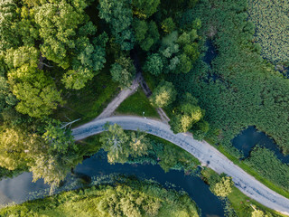 Aerial Photo of Road going by the River under the Trees, Top Down View in Early Spring on Sunny Day