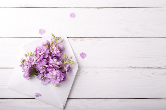 Lilac mattiola flowers