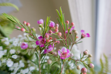 small pink flowers in a bouquet