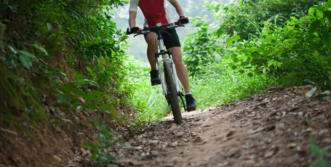 Fototapeta na wymiar Woman riding Mountain Bike on forest trail