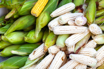 野菜　健康　バナナ　メロン　人参　ニンニク　インゲン　オクラ