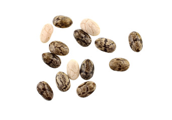 Macro Closeup on Chia Seed (Salvia Hispanica) Isolated on White Background.