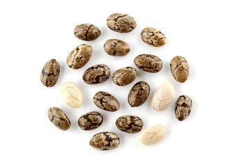 Macro Closeup on Chia Seed (Salvia Hispanica) Isolated on White Background.