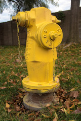 yellow fire hydrant