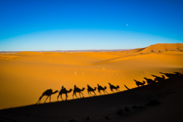 Fototapeta na wymiar silhouette of camel caravan in desert