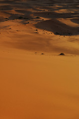 Fototapeta na wymiar Sahara dunes