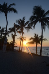 Naklejka na ściany i meble Cuba - coco palm trees and sunset
