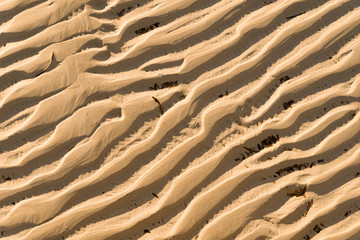 Abstract golden sand texture pattern at the beach not seamless
