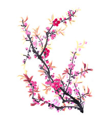 Chinese painting of flowers, plum blossom