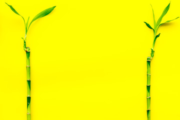 Asia background. Chinese, japanese background. Bamboo branch on yellow background top view space for text