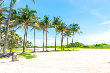 Miami beach sand on bright sunny day