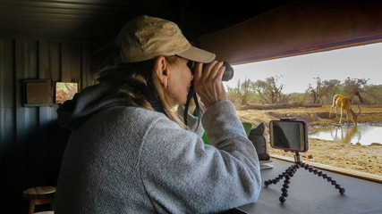 Woman with binoculars looking out of photo hide while on safari