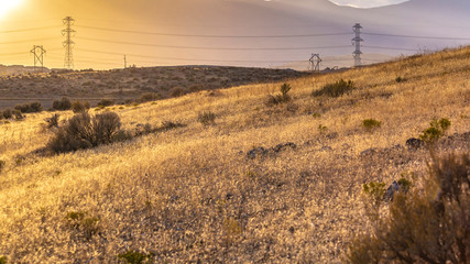 Power lines on grassy hills lit by bright sunlight