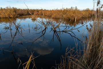 Camargue im Winter / delta du Rhone /  