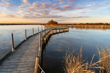 Camargue im Winter / delta du Rhone /  