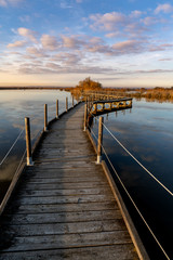 Naklejka premium Camargue zimą / Delta du Rhone /