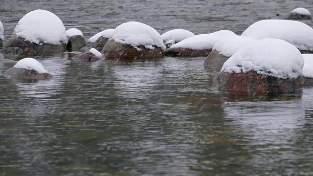 Stones with snow caps in the water of Altai Biya river under heavy snow in winter season