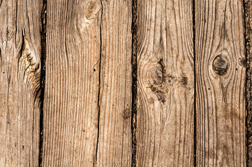 Obraz premium Old weathered light brown boards