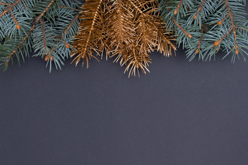 Creative decoration pattern with green and golden Christmas tree branches at the top. Concept